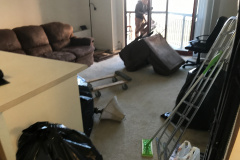 Apartment Clean Out in Seven Corners VA