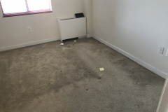 Apartment Clean out In Seven Corners VA