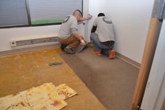 Carpet Removal in Springfield VA