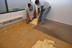 Carpet Removal in Springfield VA