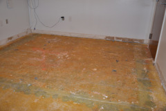 Carpet Removal in Springfield VA