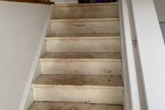 Carpet Removal
