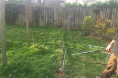 Chain Link Fence Removal in Kensington, MD