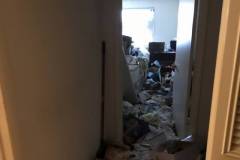 Clutter Removal in Arlington, VA