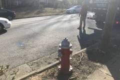 Curbside Pick Up in Falls Church, VA