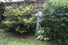 Washington DC and Maryland fence removal