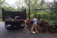 Debris Removal in Mclean