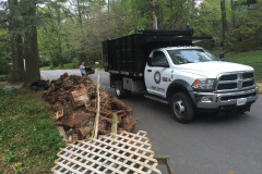 Debris Removal in Mclean