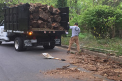Debris Removal in Mclean