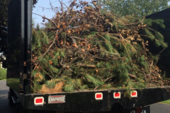 Debris Removal in Mclean