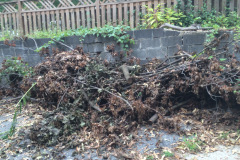 Debris Removal in Mclean