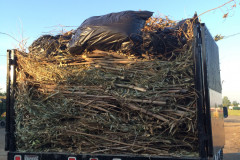 Debris Removal in Mclean