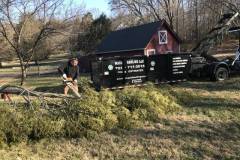 Fallen Tree Removal in Clifton VA