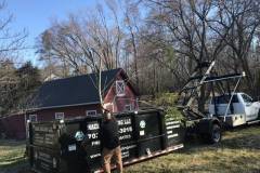 Fallen Tree Removal in Clifton, VA