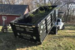 Fallen Tree Removal in Clifton, VA