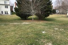 Wood Fence Removal in Arlington VA