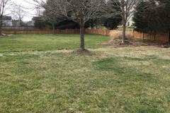 Wood Fence Removal in Arlington VA