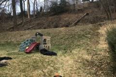 Backyard Fence Demolition in Washington DC