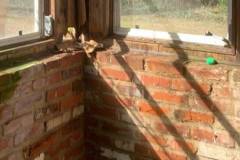 Hoarding Clean Up in Alexandria VA