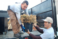 Junk & Trash Removal DMV Area