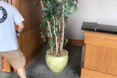 Office Clean Out in Arlington, VA