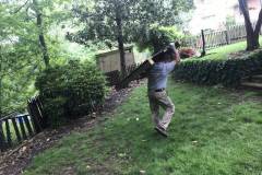 Playground Set Removed in Arlington, VA