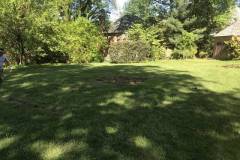 Playset Removal in Alexandria, VA