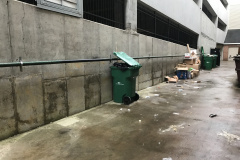 Trash & Junk Left Behind From Renters
