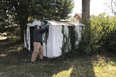 Shed Demolition and Removal Service