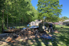 Shed Demolition in Alexandria, VA