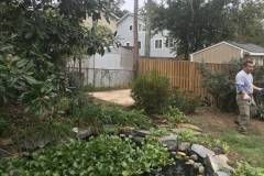Shed Demolition in Falls Church, VA