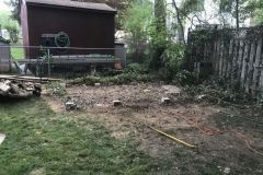 Storage building tear down and remove in Springfield VA
