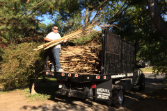 Landscape Debris Removal in Potomac MD