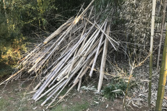 Landscape Clean Out in Vienna VA