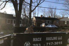 Landscape Clean Out Vienna VA