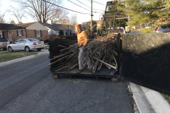 Landscape Clean Out Vienna VA